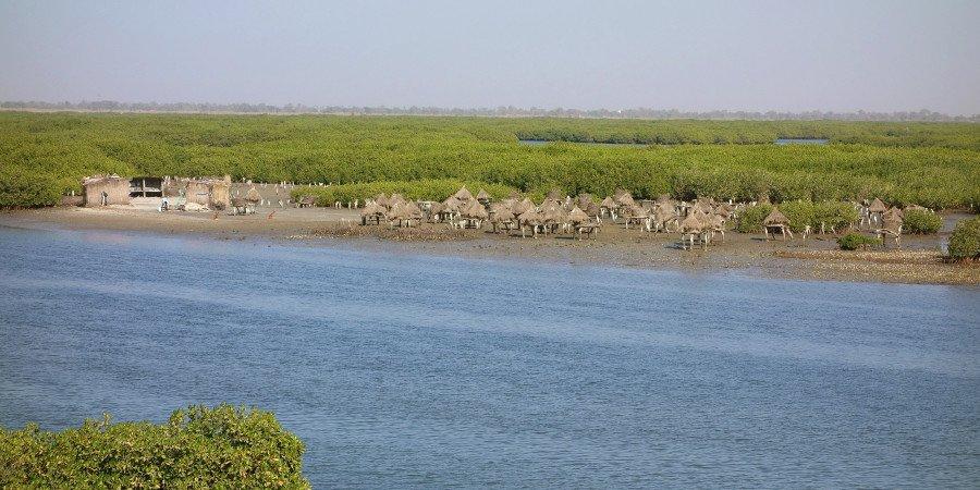 Joal Fadiouth: isola di conchiglie